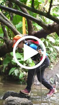 BIB:  <button type="button" onclick="openModal(27616755)" class="btn btn-primary btn-sm float-right" data-toggle="modal" data-target=".modal-high-quality">
                <i class="fa fa-download"></i> Download
                </button>